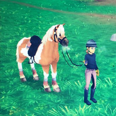 Was ist mit den neuen Pferden