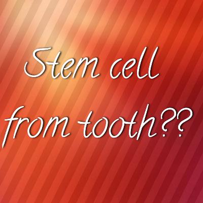 STEM CELL FROM TOOTH???....