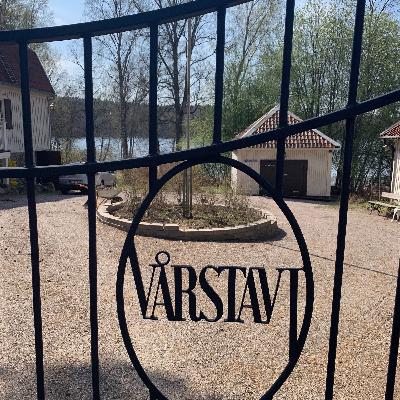 Jung, Vårstavi och Poul Bjerre, Sveriges bortglömda psykologipionjär