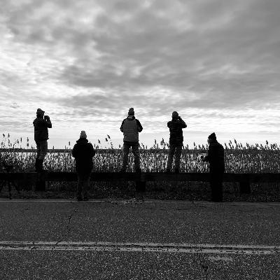 Counting Waterfowl with Wildlife Biologist, Jenny Kilburn