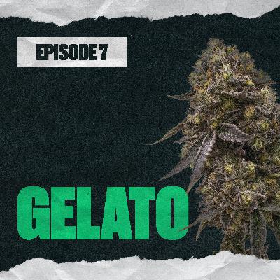 Gelato Gelato