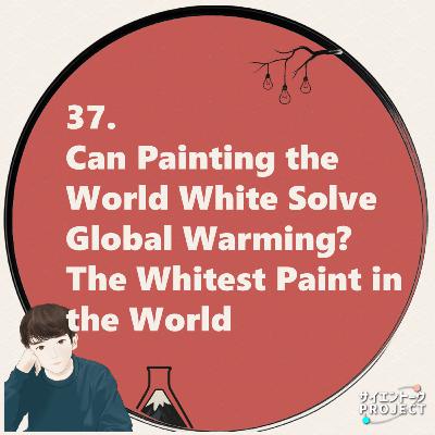 37. Can Painting the World White Solve Global Warming? The Whitest Paint in the World