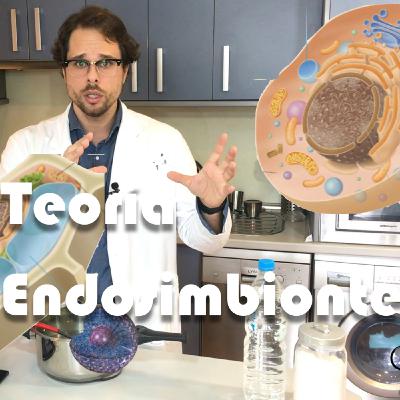 Teoría endosimbionte, haciendo amigos Teoría endosimbionte, haciendo amigos