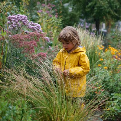 RAIN GARDEN: LA PIOGGIA DIVENTA PROGETTO