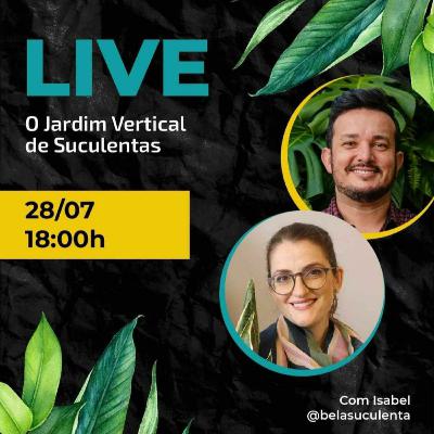 Jardins verticais de suculentas Jardins verticais de suculentas