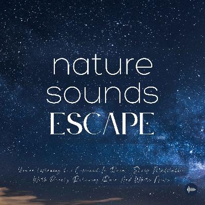 Sleep Meditation With Purely Relaxing Rain & White Noise | Relaxing Nature Sounds For Sleep, Meditation, Relaxation Or Focus | Sleep Sounds, Sleep Music, Raindrops, Rainfall, Wind, Storm, Study Music, Relieve Stress, Insomnia, Sons Pour Dormir, Pluie