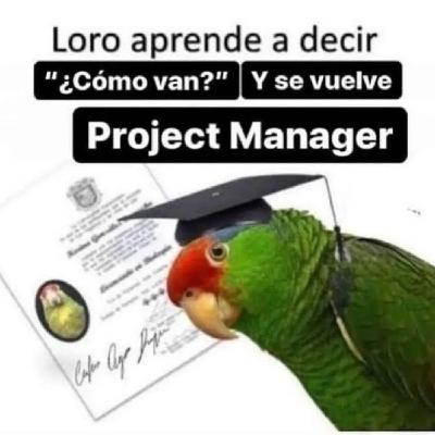 DDPP T2-E1 - Tres ingenieros discutiendo de proyectos