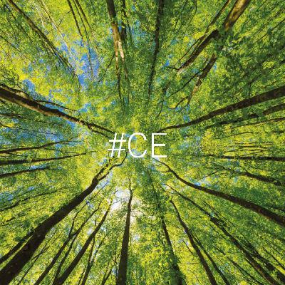 Ist Nachhaltigkeit Unsinn? Michael Braungart im Podcast Ist Nachhaltigkeit Unsinn? Michael Braungart im Podcast