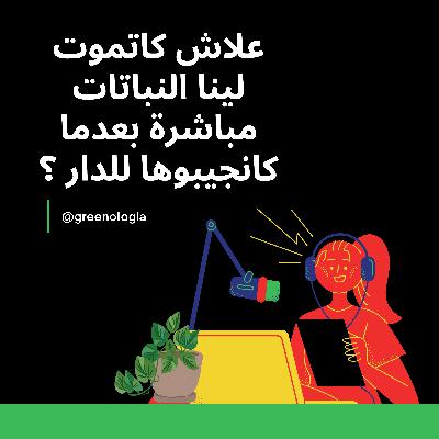 Épisode 5 - علاش كاتموت لينا النباتات مباشرة بعدما كانجيبوها للدار؟ Épisode 5 - علاش كاتموت لينا النباتات مباشرة بعدما كانجيبوها للدار؟