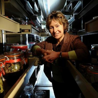 E2: Authenticating Traditional Chinese Medicine (TCM) with Dr Chris Leon