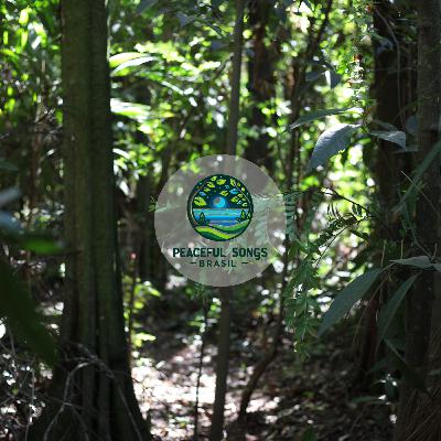 Som Relaxante de Água e Pássaros na Serra da Canastra / Relaxing Water and Birds Sounds in Serra da Canastra 🌿✨