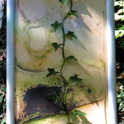 Rob Walsh with Blowin on BCB 106.6 - Sunday 11 October 2020