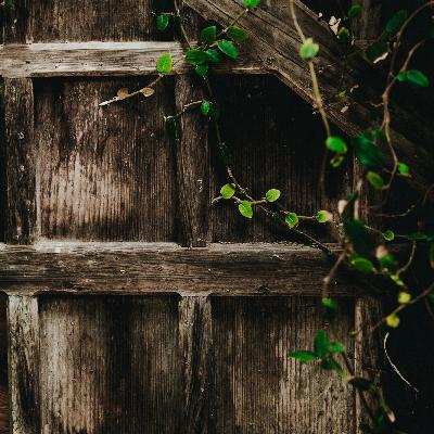 Fermento não é pão. Fermento não é pão.