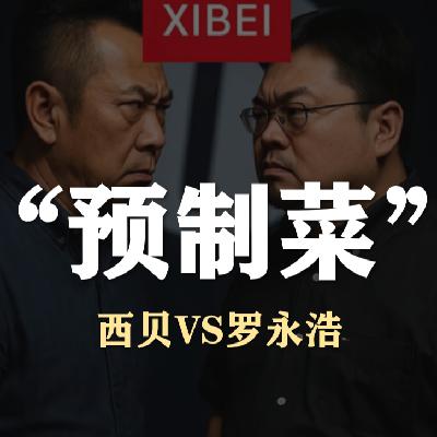 S5E34-狂飙的西贝VS罗永浩,“预制菜”风波 S5E34-狂飙的西贝VS罗永浩,“预制菜”风波
