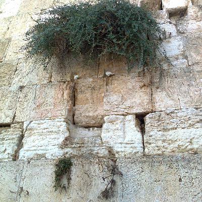 Episode 266: עקשנות בעבודת השם Episode 266: עקשנות בעבודת השם