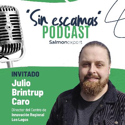 T3/C6: “La industria salmonicultora está cada vez más madura en temas de innovación”