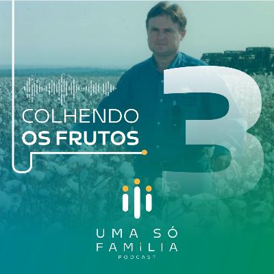 Colhendo os Frutos