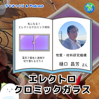 エレクトロクロミックガラスの研究～博士の十問十答3/3：物質・材料研究機構　樋口さん