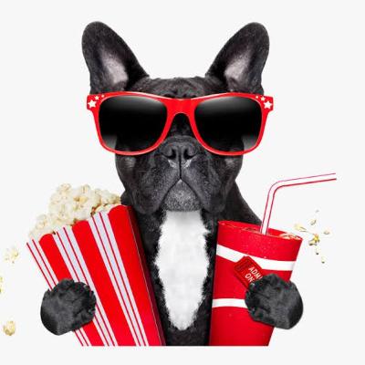 S5 Ep4 : PILEM DAN LAGU