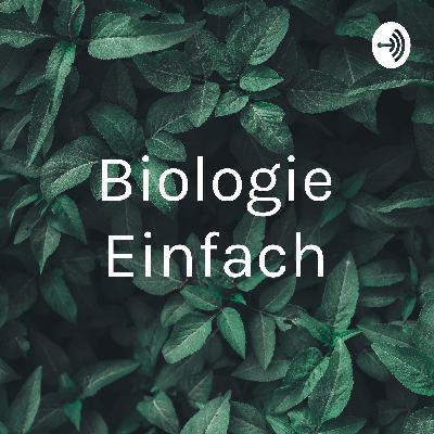 Biologie einfach erklärt