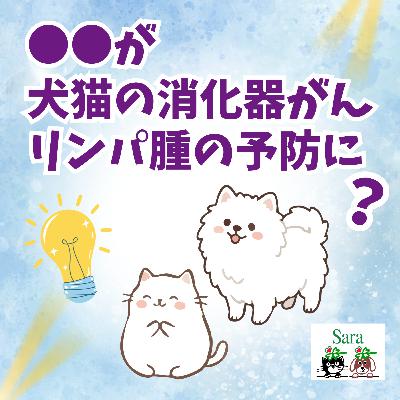 #1053. ●●が犬猫の消化器がん&リンパ腫の予防に？（論文からの仮説）
