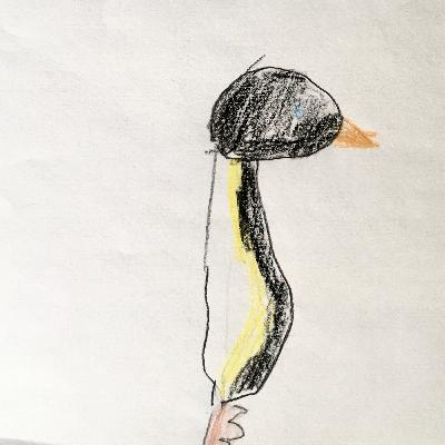 Die Schule der Magischen Tiere - Band 1 - Einleitung