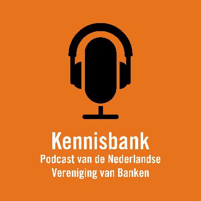 Kennisbank Aflevering 1: Banken en Buffers