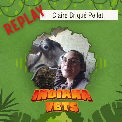 Replay: Claire Briqué-Pellet, vivre ses premiers pas de femme-vétérinaire en rurale 👩🏼🐮