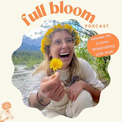 33. Cosmic Wildcrafting With Andi 33. Cosmic Wildcrafting With Andi