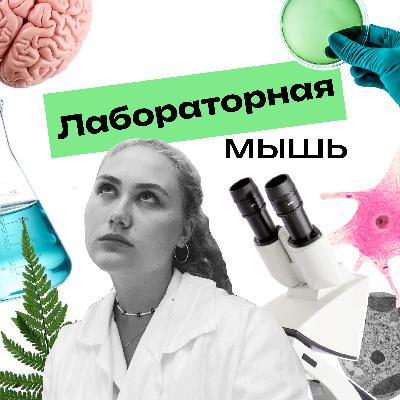 Стажировка в AstraZeneca // Первый шаг в международную фарму