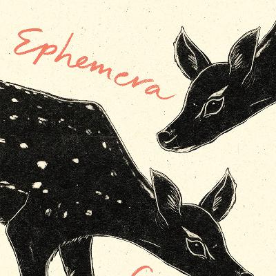 Episode 41 - Poet Sierra DeMulder writes about loss and life in her latest collection, EPHEMERA
