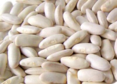 A Mariña participa en un proyecto de creación de experiencias agroturísticas