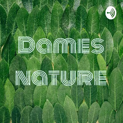 Episode 2 - Le candida albicans