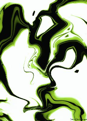 Abstract Portrait Series: Big Spill Joy (Green Black & White)