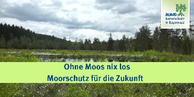 Teil 3: Ohne Moos nix los – Moorschutz für die Zukunft