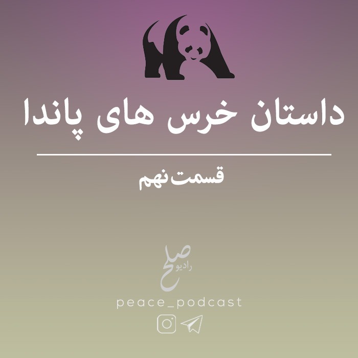 خرس های پاندا - اپیزود 9 - شب هشتم