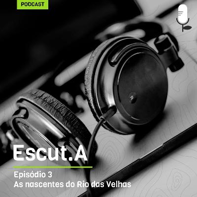 As nascentes ameaçadas do Rio das Velhas