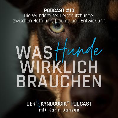 Die Wunderüte – Tierschutzhunde Die Wunderüte – Tierschutzhunde