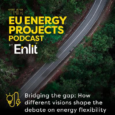 Bridging the gap: How different visions shape the debate on energy flexibility