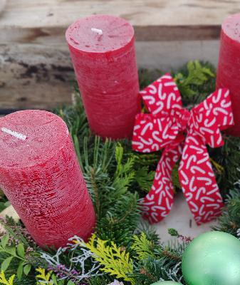 „Adventkranz? Können wir. Frieren? Noch besser. – DIY im 13-Grad-Gewächshaus“ „Adventkranz? Können wir. Frieren? Noch besser. – DIY im 13-Grad-Gewächshaus“