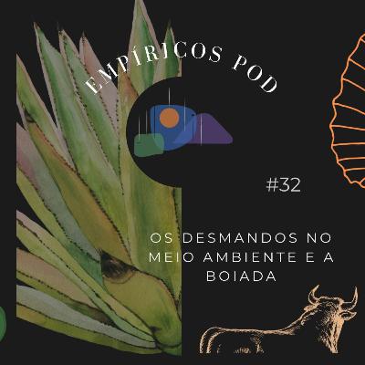 #32 Os desmandos no Meio Ambiente e a Boiada #32 Os desmandos no Meio Ambiente e a Boiada