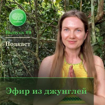 Выпуск #9 - Эфир из джунглей!