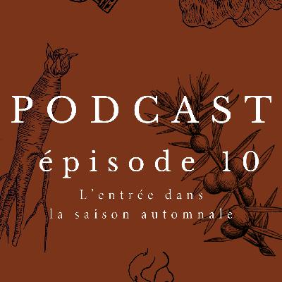 ART DE VIVRE : L'entrée dans la saison automnale