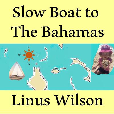 Ep. 57: Van Den Heede speaks about his pitchpole and win in the 2018 GGR Golden Globe Sailing Race to Linus Wilson + the future for the podcast & YouTube channel