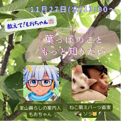 もおちゃんとコラボ『葉っぱのこともっと知りたい』