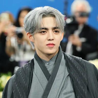 K-pop stars rocked the Met Gala red carpet