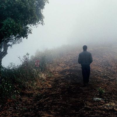 L'Heure Exquise #26 - FID 21 : Une Heure Exquise sans Apichatpong Weerasethakul
