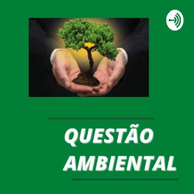 Questão ambiental e suas características