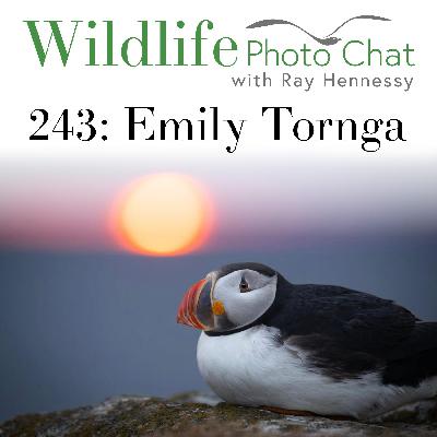 243: Emily Tornga