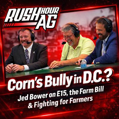 Corn’s Bully in D.C.? Jed Bower on E15, the Farm Bill & Fighting for Farmers Corn’s Bully in D.C.? Jed Bower on E15, the Farm Bill & Fighting for Farmers